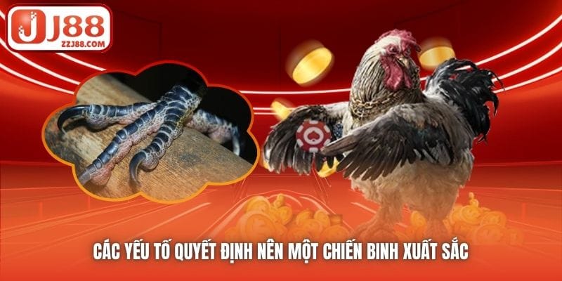 Các yếu tố quyết định nên một chiến binh xuất sắc