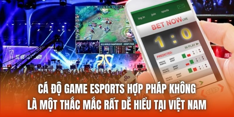 Cá độ game esports hợp pháp không là một thắc mắc rất dễ hiểu tại Việt Nam