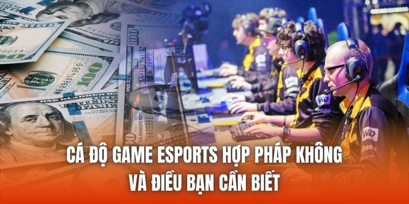 Cá Độ Game Esports Hợp Pháp Không Và Điều Bạn Cần Biết